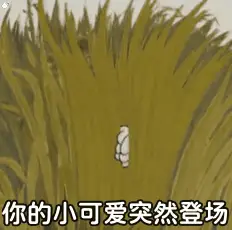 你的小可爱突然登场