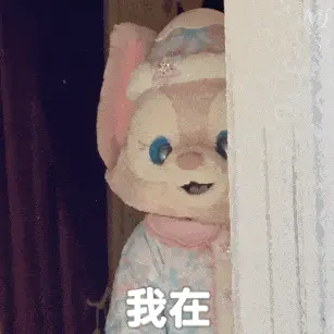 我在 GIF 动图表情包