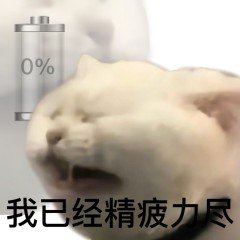 0%我已经精疲力尽