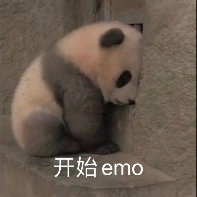 开始emo