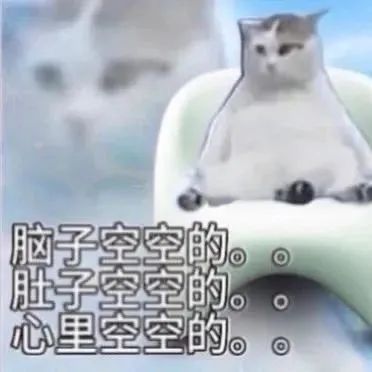 脑子空空的胚子空空的。。心里空空的。。
