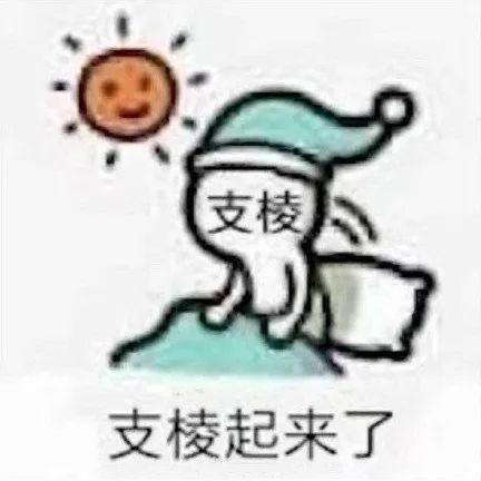 支棱支棱起来了