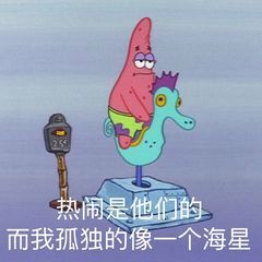 热闹是他们的而我孤独的像一个海星