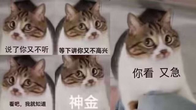 说了你又不听等下讲你又不高兴你看又急看吧，我就知道神金