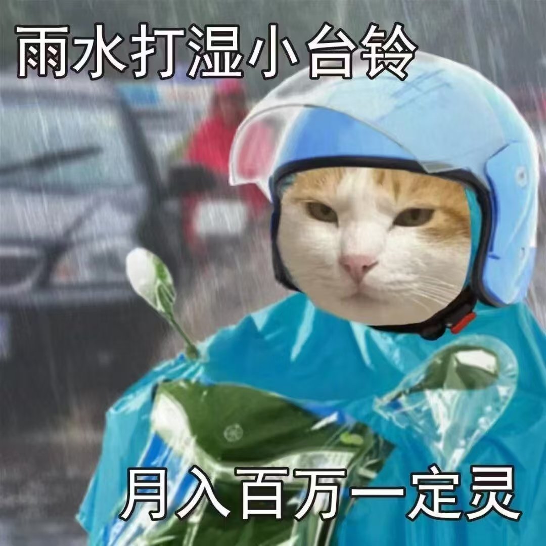 雨水打湿小台铃月入百万一定灵