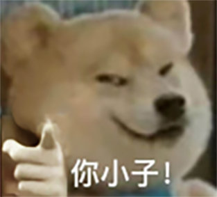 你小子！