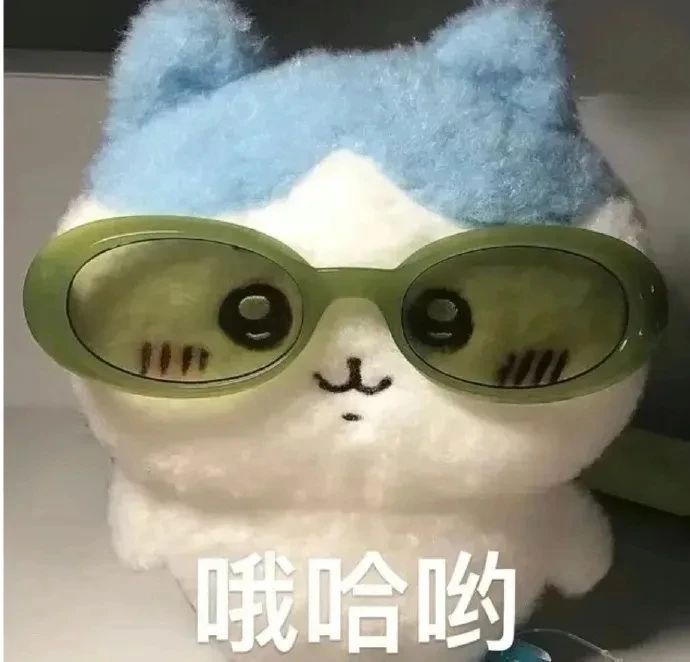 哦哈哟