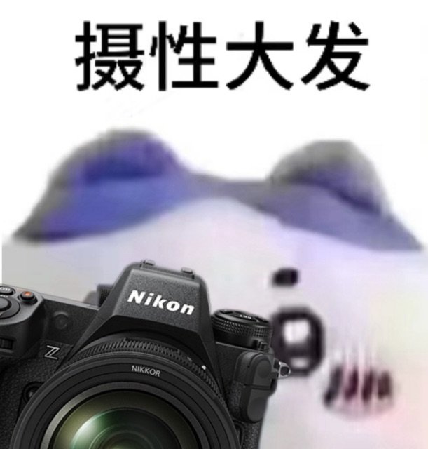 摄性大发NikonNIKKOR