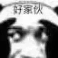 好家伙 高糊熊猫头表情包