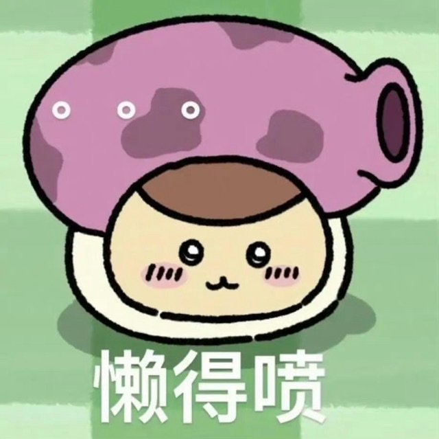 懒得喷