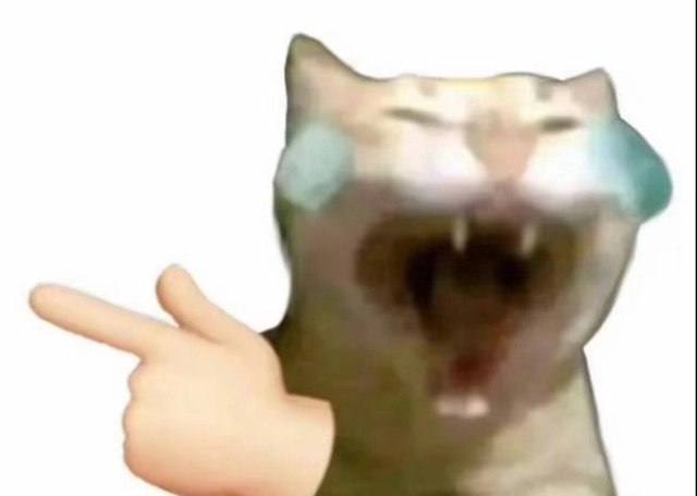 猫猫嘲笑表情包
