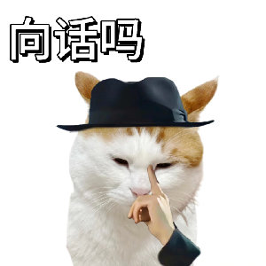 向话吗(猫猫表情包)