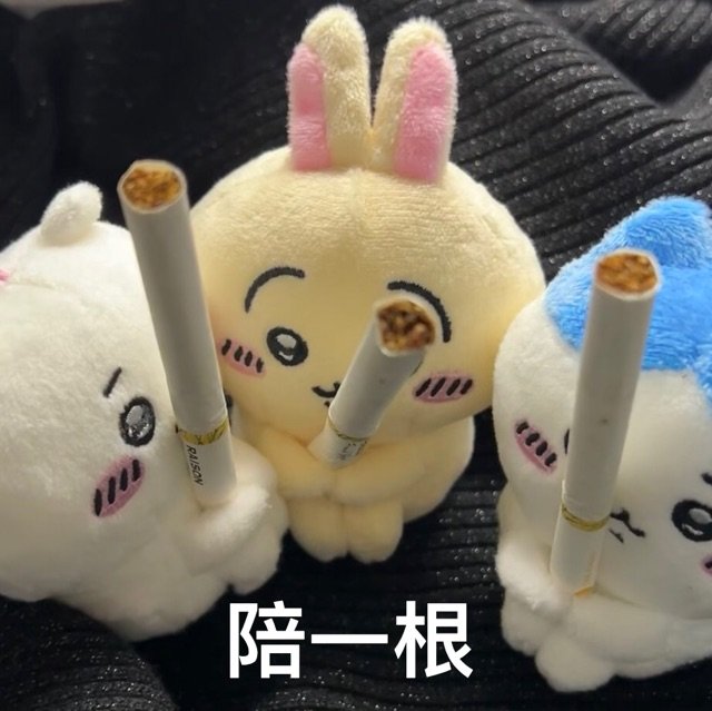 RAISON陪一根