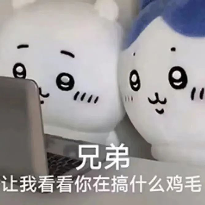 99以兄弟让我看看你在搞什么鸡毛