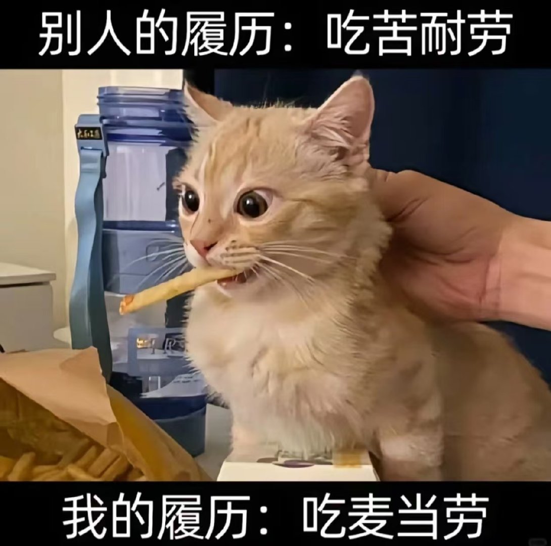 别人的履历：吃苦耐劳我的履历：吃麦当劳