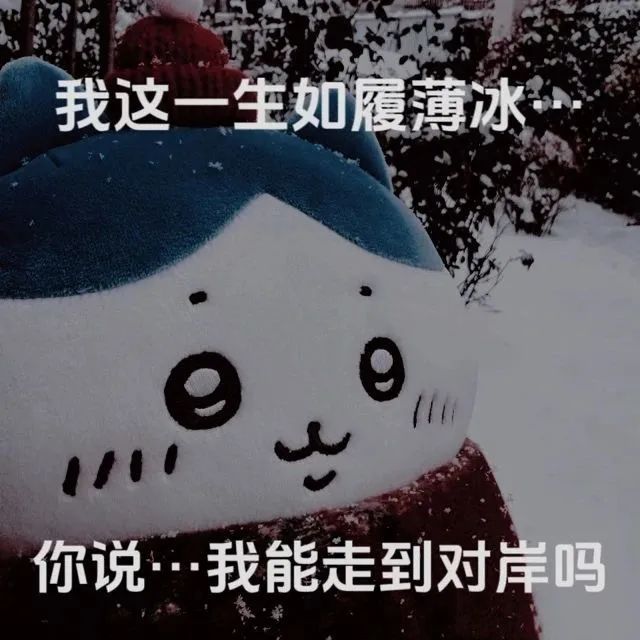 我这一生如履薄冰你说…我能走到对岸吗