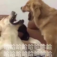 哈哈哈哈哈哈哈哈哈哈哈哈哈哈哈哈