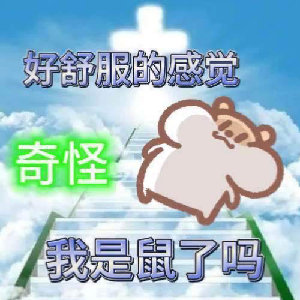 好舒服的感觉奇怪我是鼠了吗