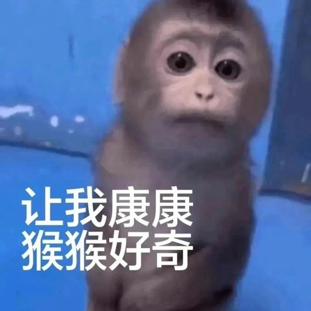 让我康康猴猴好奇