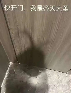 快开门，我是齐天大圣