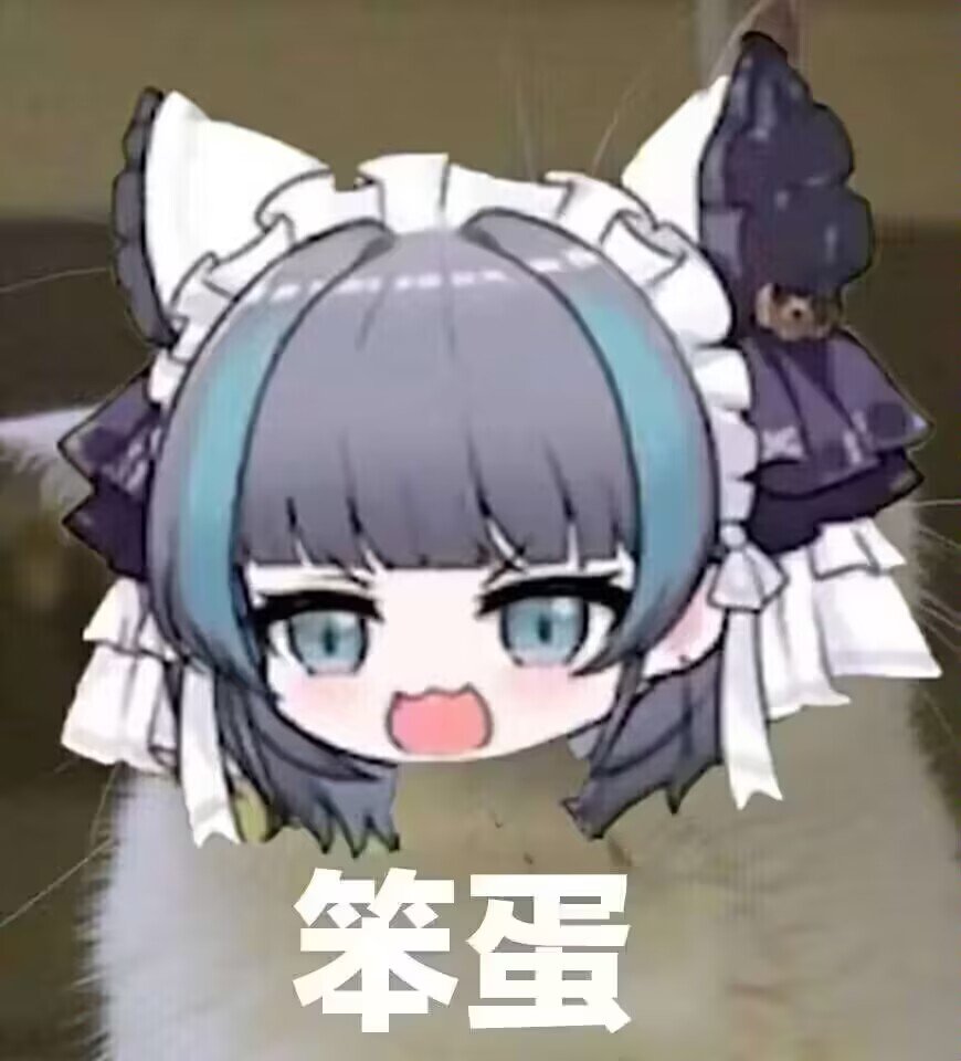 笨蛋
