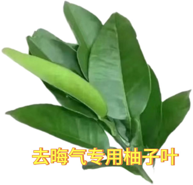 去晦气专用柚子叶