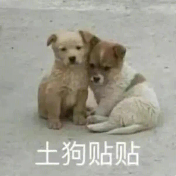 土狗贴贴
