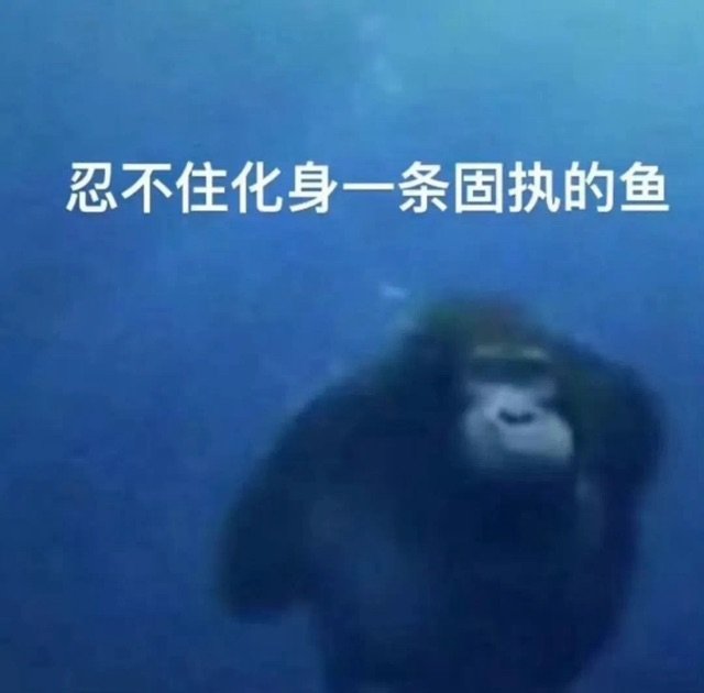 忍不住化身一条固执的鱼