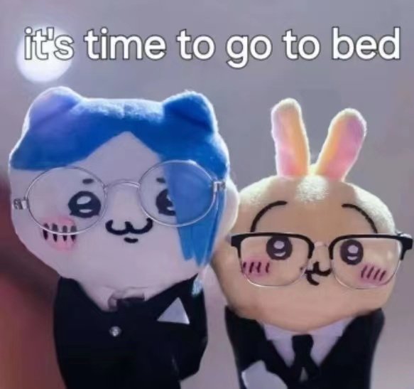 it's time to go to bed0RU(晚安大小姐动图表情包)
