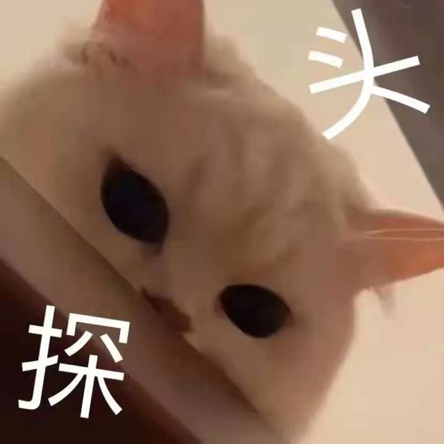 头探