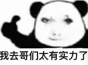 我去哥们太有实力了