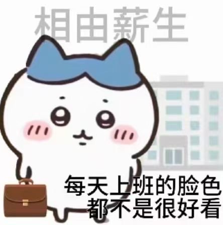 相由薪生每天上班的脸色都不是很好看