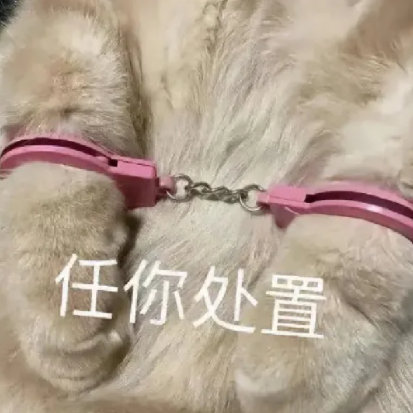 任你处置
